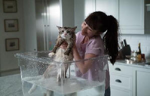 億萬喵星人電影劇照5