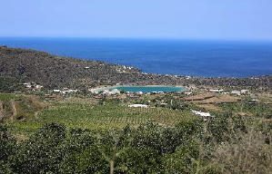 危情後樂園電影劇照8