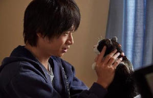 貓咪去哪兒電影劇照4