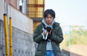 貓咪去哪兒電影劇照8