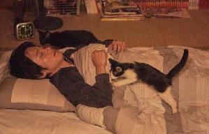 貓咪去哪兒電影劇照9