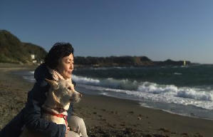 狗狗沒有家電影劇照2