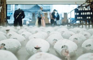 潮拜築地：魚味無窮電影劇照2