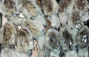 潮拜築地：魚味無窮電影劇照5