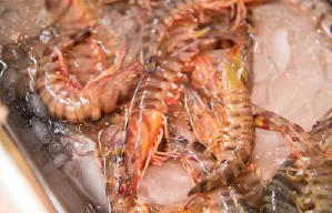 潮拜築地：魚味無窮電影劇照8