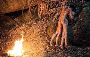 同流合烏電影劇照2