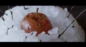 NOMA 美食風暴電影劇照7