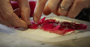 NOMA 美食風暴電影劇照10