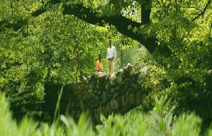 美國第一情緣電影劇照7