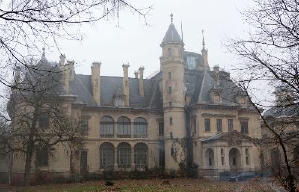 折翼天使首部曲：魔咒之吻電影劇照3