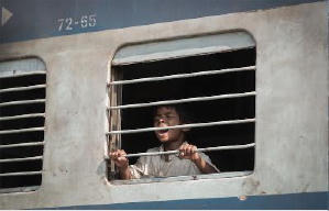 漫漫回家路電影劇照3