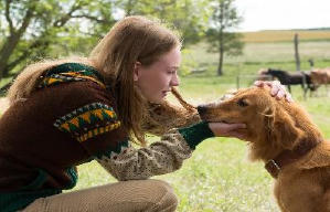 再見亦是狗朋友電影劇照2