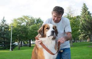 再見亦是狗朋友電影劇照3