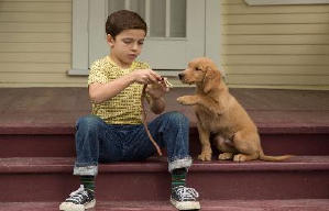 再見亦是狗朋友電影劇照4