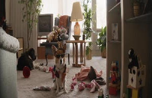 再見亦是狗朋友電影劇照6