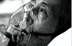 通州街310號 + 叫我陳太 + 這是這文富 - 華語紀錄片節2017電影劇照2