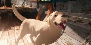 貓貓的奇幻漂流電影劇照18