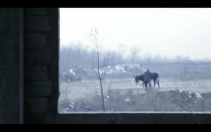 大裂微光：胡波短片精選 (M+ Cinema Programmes)電影劇照4