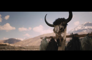 小婦人尋夫記電影劇照12