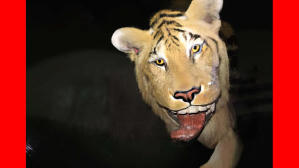 萬象的訊號 (M+ Programme)電影劇照2