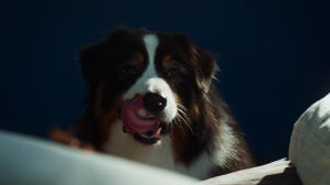 如果主子會説話電影劇照29