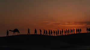 用武之地電影劇照2