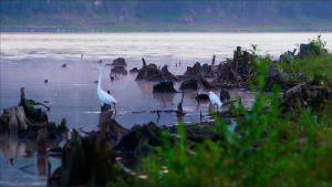 萬里千尋電影劇照8