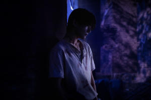 狂野時代電影劇照5