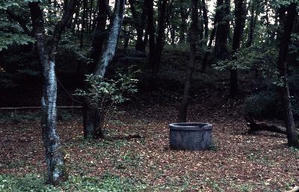 午夜凶鈴電影劇照4