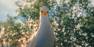 貓貓的奇幻漂流電影劇照30