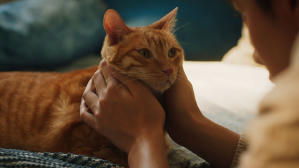 如果主子會説話電影劇照6