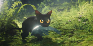 貓貓的奇幻漂流電影劇照64