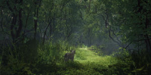 貓貓的奇幻漂流電影劇照54