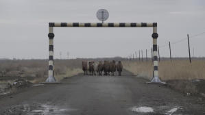 致孤獨：銀幕上的寂寞城市 (M+ Cinema Programmes)電影劇照5