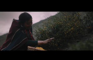 小婦人尋夫記電影劇照24