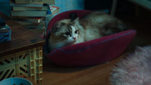 如果主子會説話電影劇照9