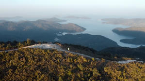 香港四徑大步走電影劇照36