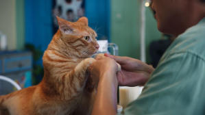 如果主子會説話電影劇照20