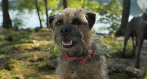 復仇戇狗聯盟電影劇照26