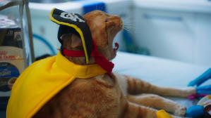 如果主子會説話電影劇照67