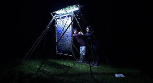 臨夜月蛾啟示錄(EADF2024)電影劇照4