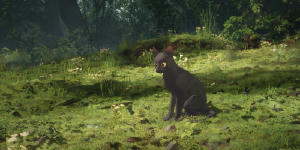 貓貓的奇幻漂流電影劇照56