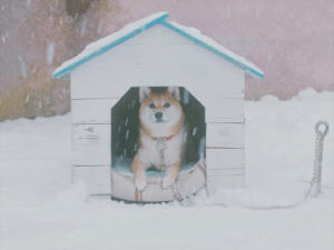 溜進我心的陽光電影劇照12