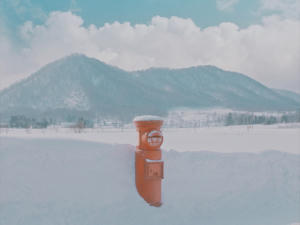 溜進我心的陽光電影劇照7