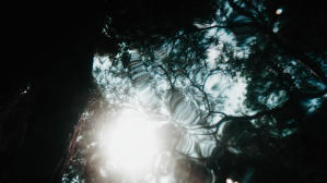 領悟的潮水（M+ programme）電影劇照5