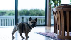 奪命監電影劇照10