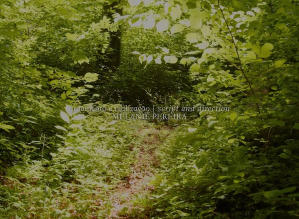 逐水飄流(EADF2025)電影劇照5