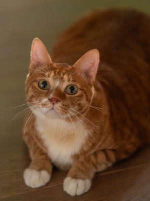 調教我的喪屍女兒電影劇照20