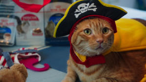 如果主子會説話電影劇照66