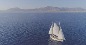 穿越時空的發現號／變形記之木歌物語(EADF2025)電影劇照4